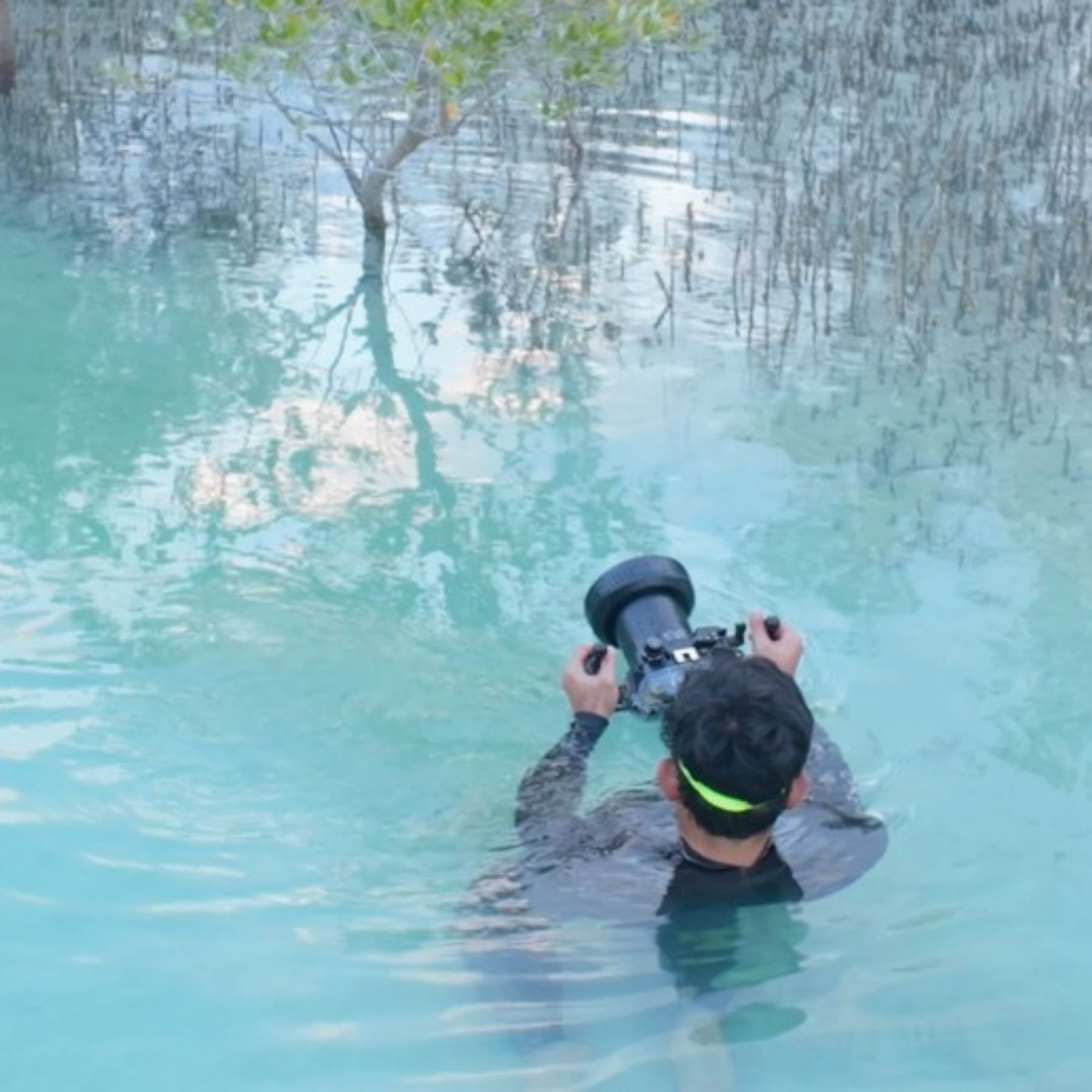 Camera operator filming in the water among Abu Dhabi’s mangroves – cinematic immersive video production by Stache DXB Media